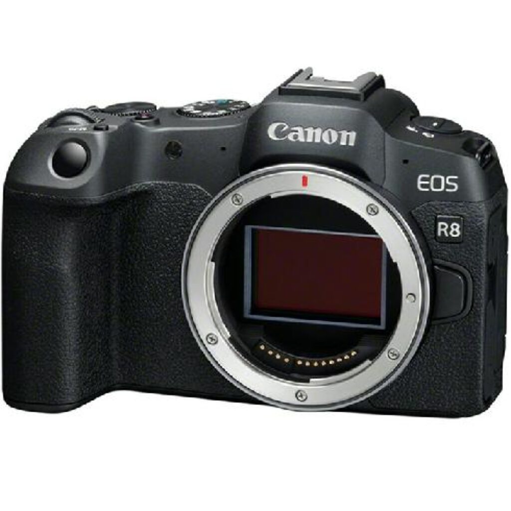 Canon-EOS-R8-with-24-50mm-full-frame-mirrorless-camera-cameradealsonline