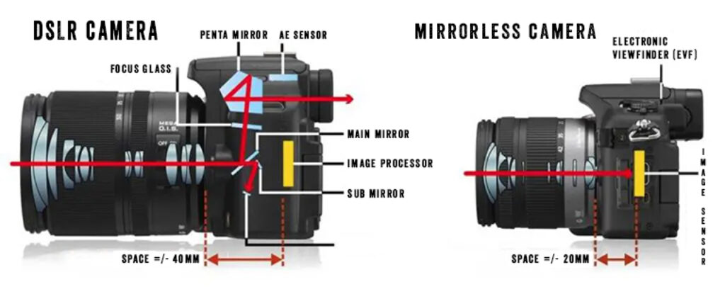 difference-between-mirrorless-and-dslr-camera@0,75x