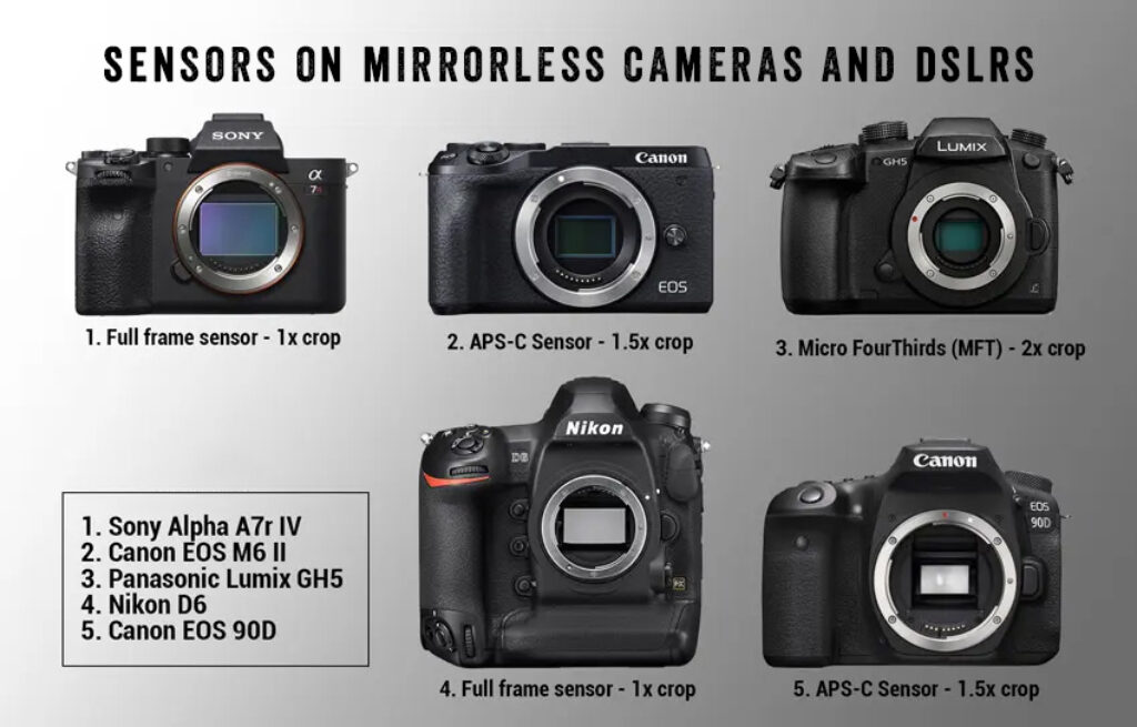 sensors-on-mirrorless-cameras-and-dslr-camera-deals-online