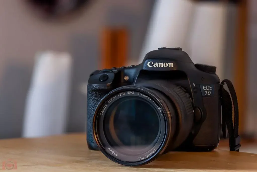 Canon-EOS-R5-test-and-review-camera-deals-online-focus-stacking