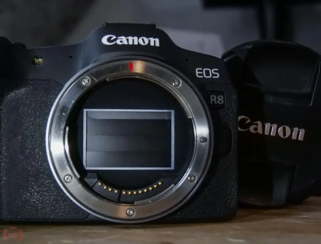 Canon-EOS-R8-test-and-review-by-camera-deals-online-and-yoreh-schipper (18)