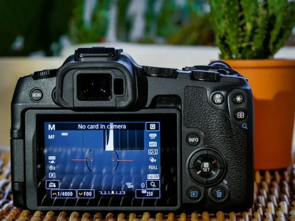 Canon-EOS-R8-test-and-review-by-camera-deals-online-and-yoreh-schipper (55)