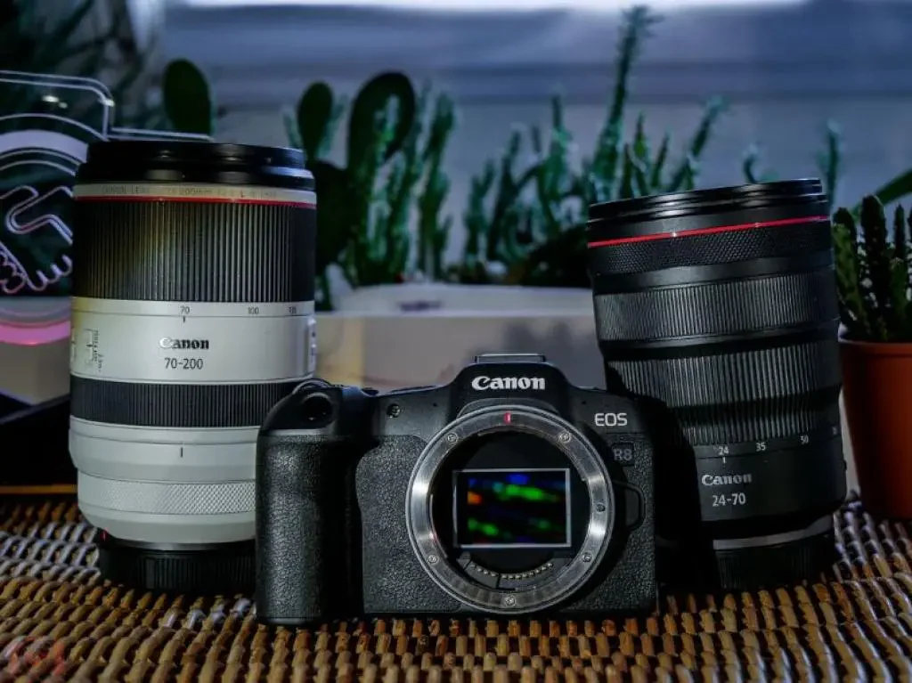 Canon-EOS-R8-test-and-review-by-camera-deals-online-and-yoreh-schipper (60)