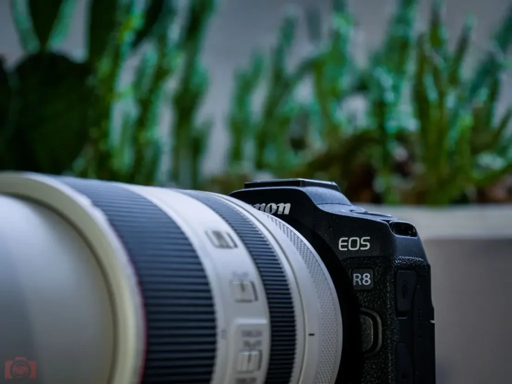Canon-EOS-R8-test-and-review-by-camera-deals-online-and-yoreh-schipper (65)